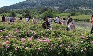 29-31 MAYIS 2026 ISPARTA GÜLLER ZAMANI TURU 1.ARAÇ