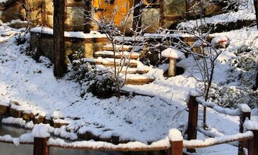 TRİLYE-MUDANYA-CUMALIKIZI-SAKARYA-ORMANYA-MAŞUKİYE-BURSA TURU