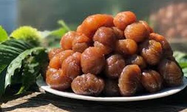 24-25 OCAK 2026 BURSA KAYAK MERKEZİ-BURSA-GÖLYAZI TURU 