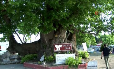 15 ŞUBAT 2026 ULUDAĞ KAYAK MERKEZİ & GÖLYAZI TURU