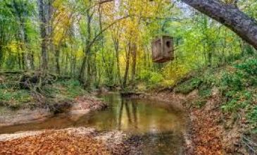 08-11 EKİM 2026 EDİRNE&KIRKLERİ&TRAKYA&ÇORLU&TEKİRDAĞ TURU